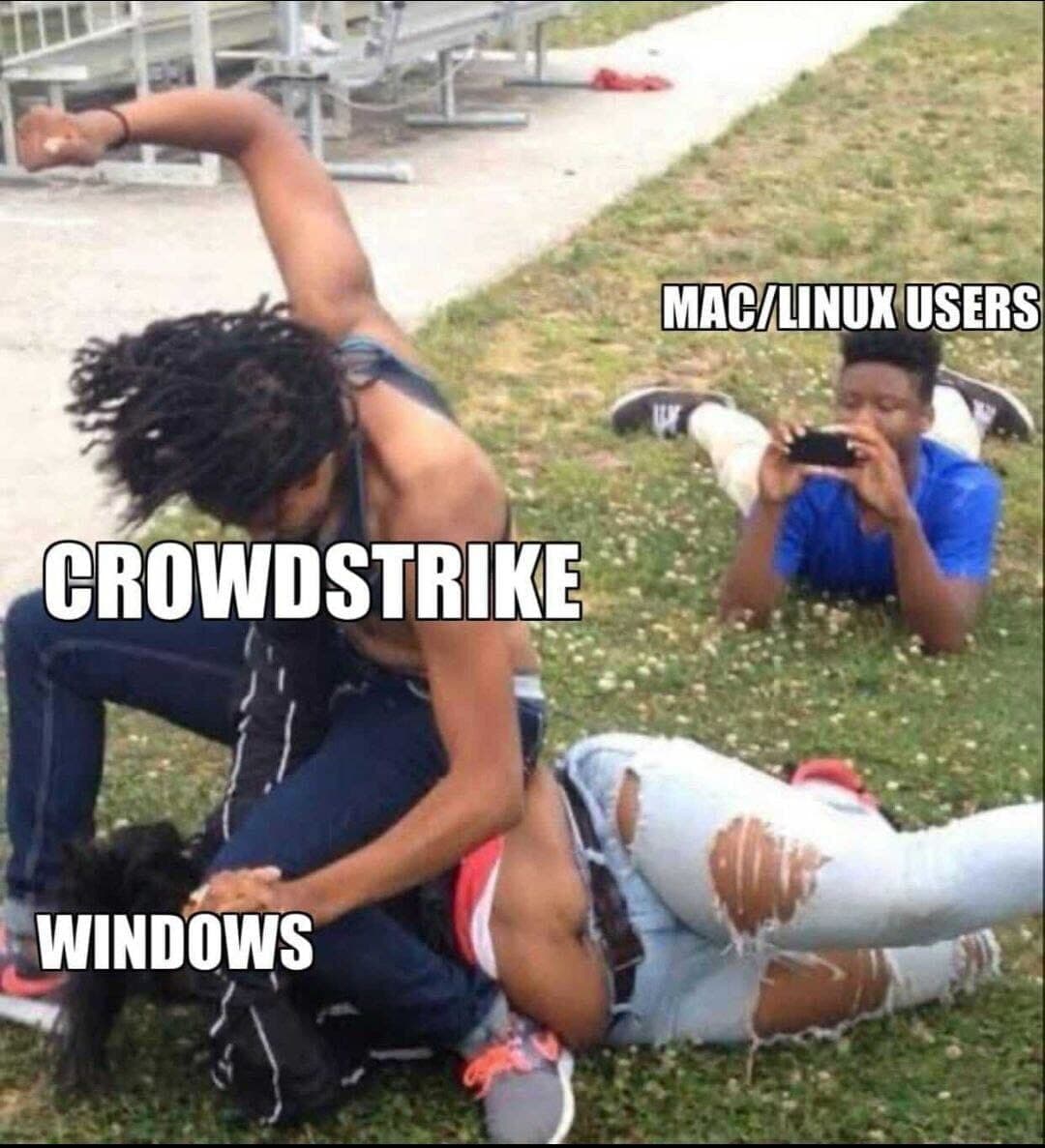Meme photo of two people fighting. Person on ground labeled "microsoft." Person punching labaled "Crowdstrike." Thurd person videoing on phone labeled "Mac/Linux users"