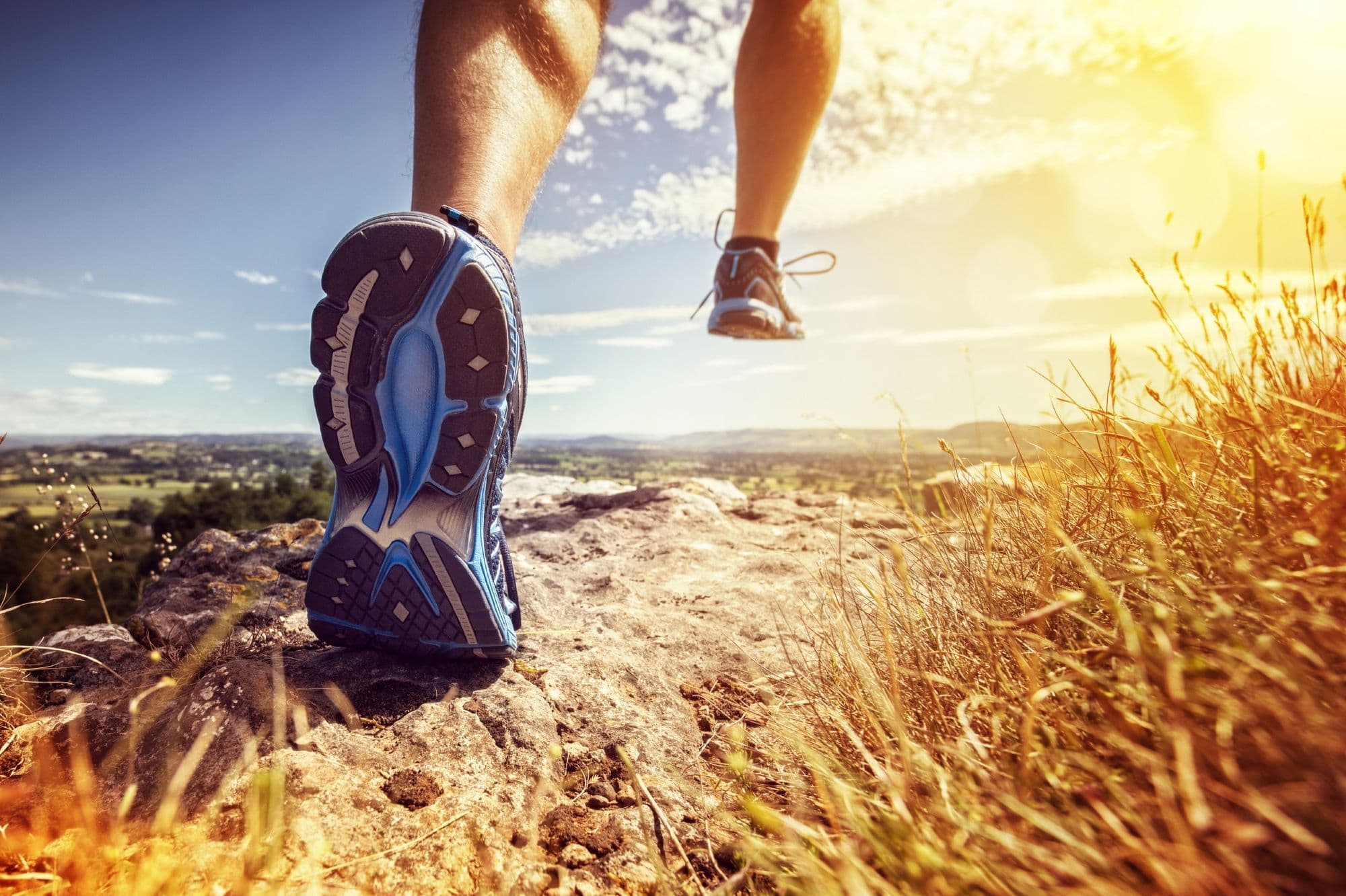 Plans and runs
